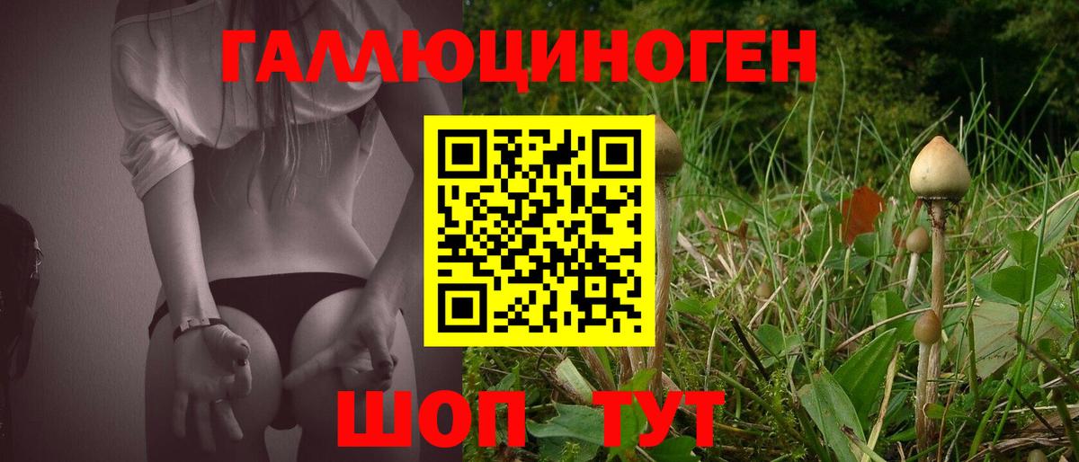 Псилоцибиновые грибы Cubensis  Вход с VPN  Саранск 